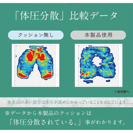 整体院の先生監修 快適支座 背筋編 クッション 背筋 姿勢を正す サポートクッション 37×40cm 姿勢見直し