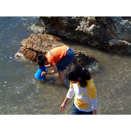 たこめがね 水中観察 子供用 釣り フィッシング アウトドア レジャー 夏休み 海水浴 山 川遊び 水中メガネ 水色 ブルー 磯遊び 川遊び 潮干狩り 生物観察