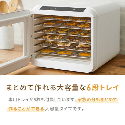 【トレー単品】simplus 304ステンレストレー 6枚 フードドライヤー用トレー 食品乾燥機 シンプラス SP-FD02用