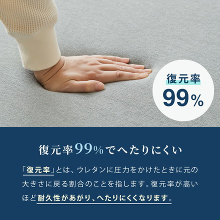 ごろ寝マット 折りたたみ 枕付き 両面タイプ タオル生地 メッシュ生地 カバー付き 60×180cm ゴムバンド付き 長座布団 マットレス ブラウン