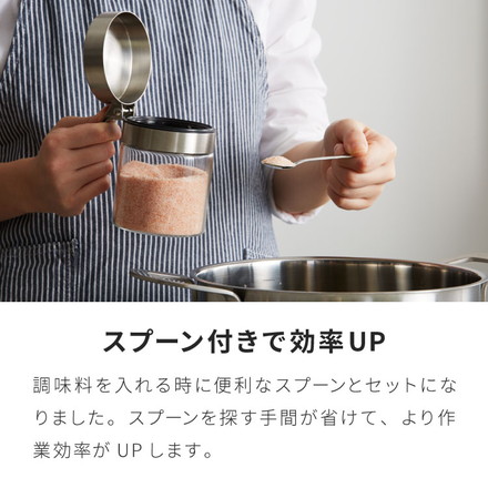 3個セット SALUS スカンディック スパイスジャー 300ml スプーン付き ガラス ステンレス 保存容器 調味料ポット 調味料入れ 砂糖 塩 コショウ スパイス セイラス おしゃれ
