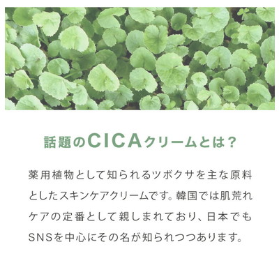 日本製 CICA ヒトハリ スペシャルクリーム 50g ヒト幹細胞 シカ 高保湿 ツボクサエキス 針クリーム