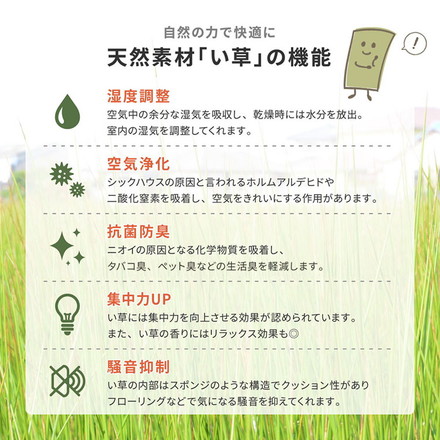 い草カーペット 382×382cm 柳川(やながわ) 本間8畳 双目織 い草上敷き畳カバー 上敷き い草 マット 抗菌 防臭 騒音抑制 軽量