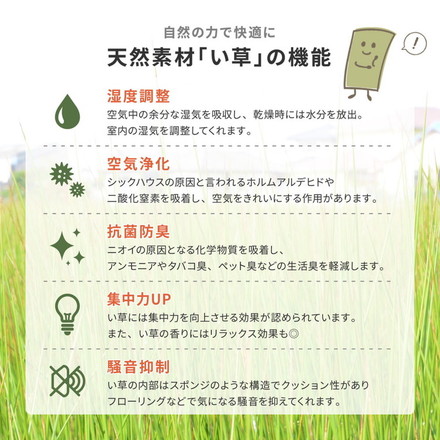 日本製 い草ラグ 261×352cm 江戸間6畳 国産い草100% 裏貼りあり カーペット 畳 マット 抗カビ 消臭 エルモード