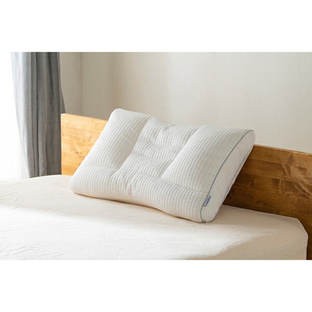 アイリスオーヤマ 枕 パイプまくら 高さ調整タイプ PPU-4060T IRIS OYAMA