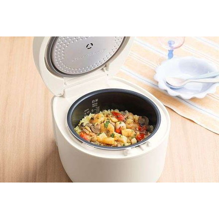 IHジャー炊飯器 5.5合 RC-ILA50-W ホワイトアイリスオーヤマ