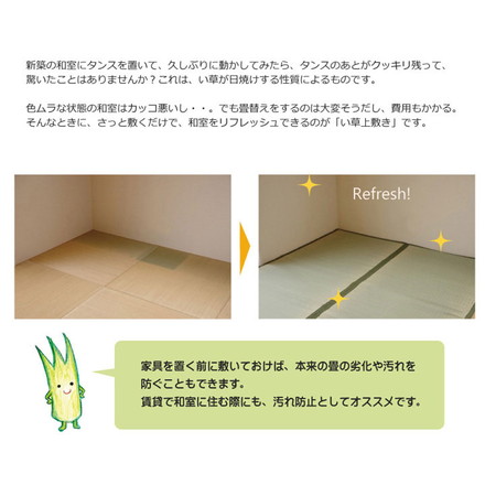 純国産 双目織 い草上敷 『草津』 江戸間6畳（約261×352cm）