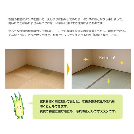 純国産 糸引織 い草上敷 『湯沢』 江戸間3畳（約176×261cm）