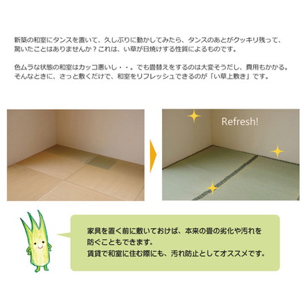 純国産 双目織 い草上敷 『松』 江戸間3畳（約176×261cm）