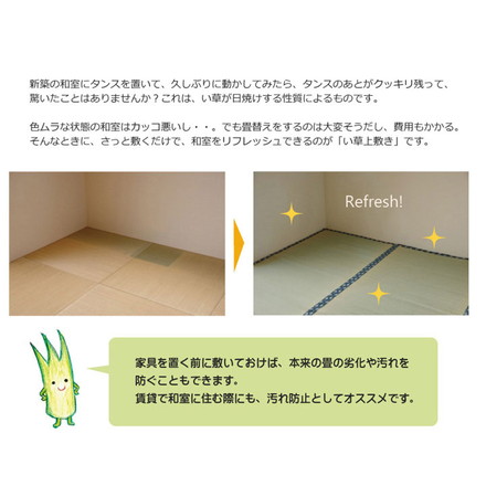 純国産 双目織 い草上敷 『ほほえみ』 三六間3畳（約182×273cm）