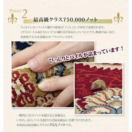 トルコ製 ウィルトン織り カーペット 『ベルミラ RUG』 ワイン 160x230cm