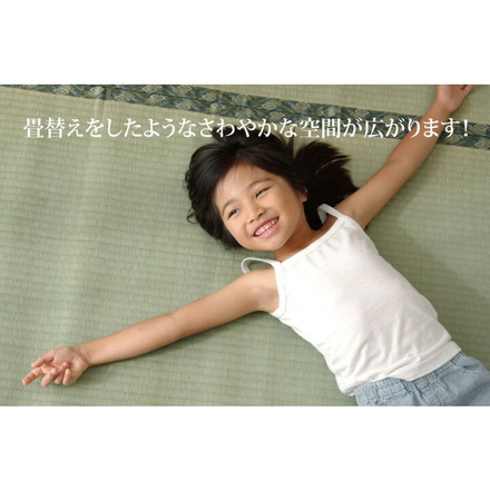 日本製 ラグ 敷き詰めタイプ 純国産 減農薬栽培 い草 上敷き カーペット 糸引織 『西陣』 江戸間4.5畳(約261×261cm)