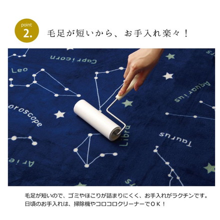 抗菌・防臭 ウォッシャブル フランネル ホットカーペットカバー 『WSミリオン