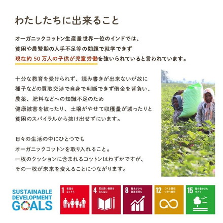 クッション 四角 厚い 持ち運び 日本製 オーガニックコットン 綿100% 無地 洗える 座布団 約40×40cm