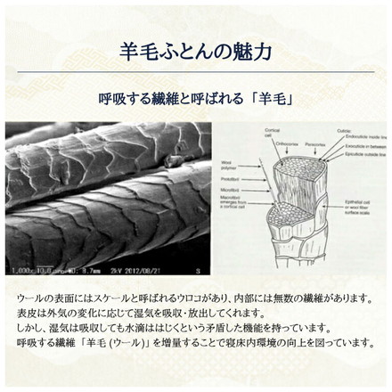 至福の眠り 丸八真綿 4層 羊毛 敷き布団 セミダブル 日本製 マルハチ 布団 マットレス ベッド 敷き 国産 極厚