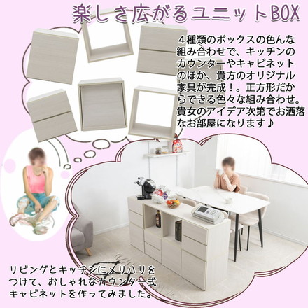 WW ダブルキューブボックス オープンタイプ 白 木製 ディスプレイ棚 飾り棚 収納ボックス ラック 台 収納ラック