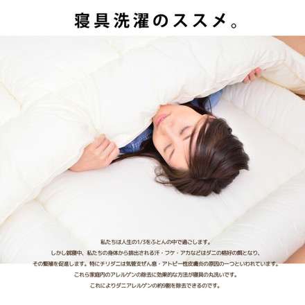 日本製 掛布団 キング 洗える布団 防ダニ araemax アラエマックス キング 掛けふとん 寝具 ダクロン(R)