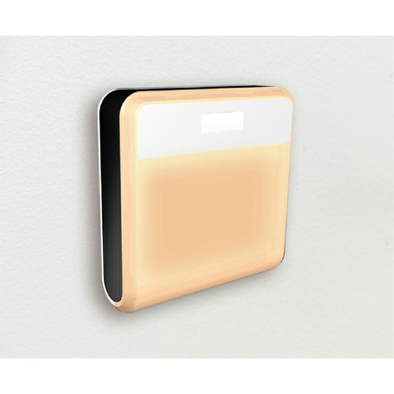 RITEX ライテック ムサシ どこでも センサーライト ワイヤレス 1個入り センサーライト