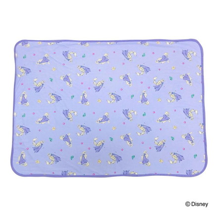 クールブランケット ラプンツェル 100×70cm リバーシブル パイル生地 接触冷感シリーズ ディズニー