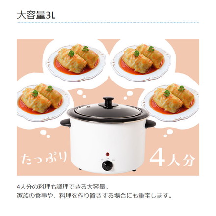 ライソン 電気煮込み鍋 スロークッカー 3.0L ホーロー鍋 電気調理鍋 軽量 ダイヤル 簡単調理 卓上調理 水洗い 丸洗い 節電 火を使わない カレー KDPC-30BW LITHON