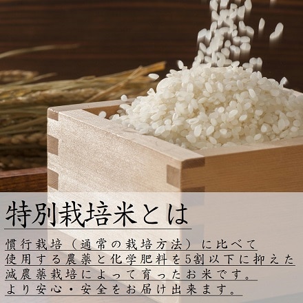 特別栽培米 岩手江刺産 ひとめぼれ 5kg 令和3年産