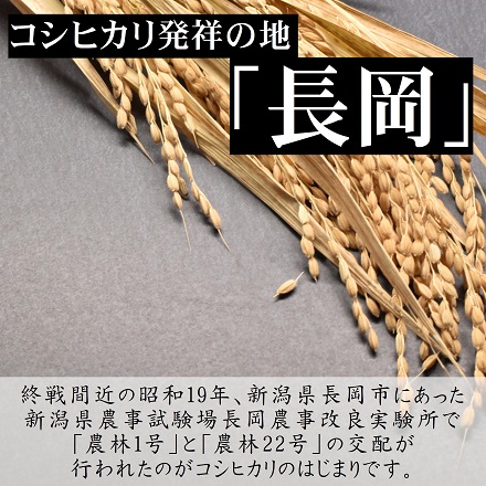 無洗米 新潟長岡産 コシヒカリ 20kg 令和7年産