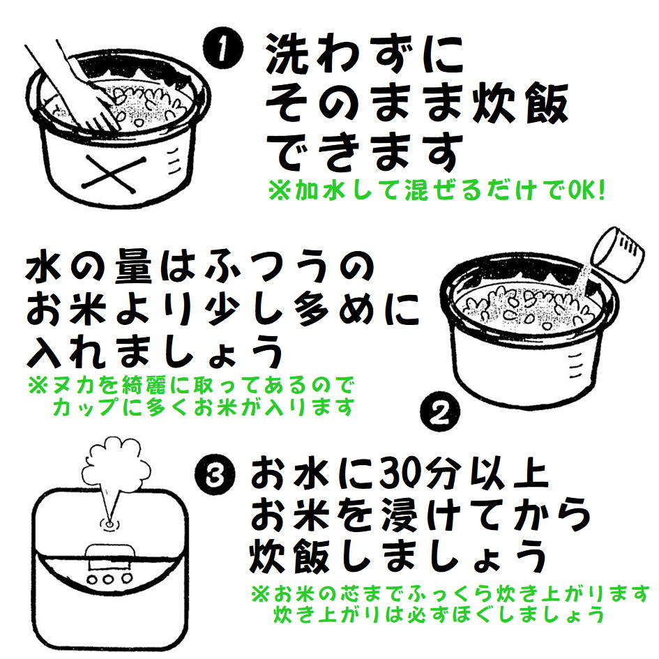 無洗米 新潟県産 ひとめぼれ 5kg 令和7年産