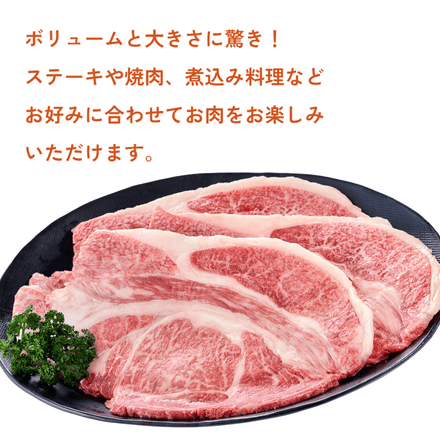 訳あり 【予約商品：11月25日以降順次発送】 黒毛和牛1kg モッタイナイビーフ 黒 焼肉セット（500g×2パック）