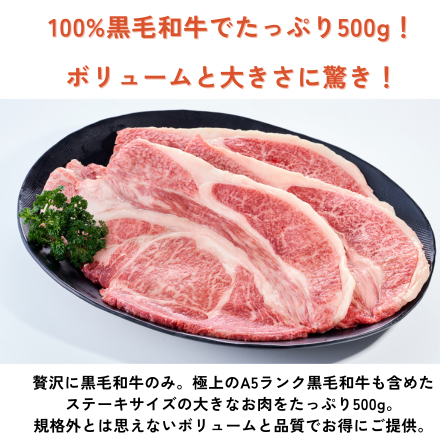 訳あり 黒毛和牛 モッタイナイビーフ 黒 焼肉セット 500g