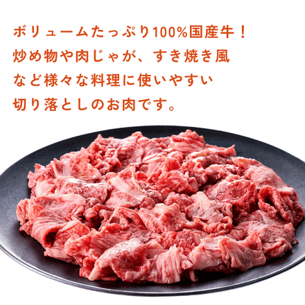 訳あり【予約商品：12月9日以降順次発送】国産牛 1kg モッタイナイビーフ 切り落とし（500g×2パック）