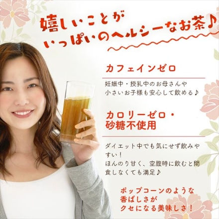 アイリスオーヤマ とうもろこしのひげ茶 1500ml×12本 CT-1500C