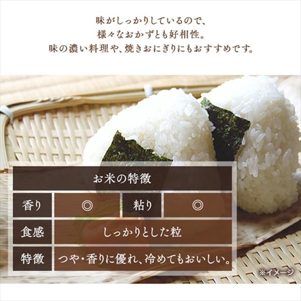 新潟県魚沼産 アイリスの低温製法米 無洗米 こしひかり 8kg(2kg×4袋) 令和5年度産 チャック付き