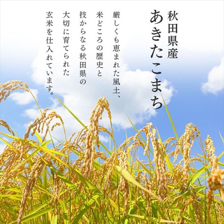 秋田県産 アイリスの低温製法米 あきたこまち 20kg(5kg×4袋) 令和5年度産
