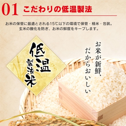 アイリスフーズ 低温製法米のおいしいごはん 150g×40食パック（10食パック×4袋）