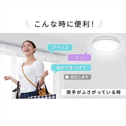 アイリスオーヤマ LEDシーリングライト 6.1 音声操作 プレーン 12畳 調光 CL12D-6.1V