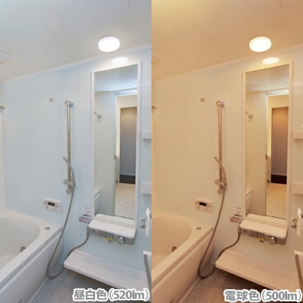 アイリスオーヤマ ポーチ・浴室灯 円型 シルバー IRCL5N-CIPLS-BS 昼白色(520lm) ※他色・他各種あり