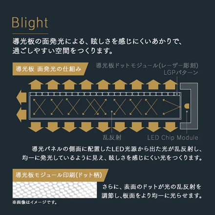 アイリスオーヤマ LEDシーリングライト パネルライト 8畳 CEA-A08DLP