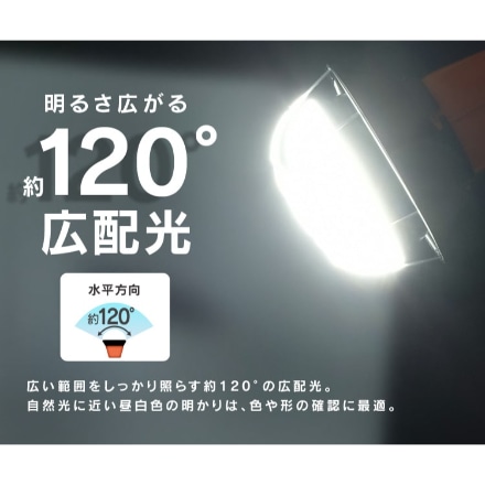 アイリスオーヤマ LED投光器 2000lm LWT-2000CK