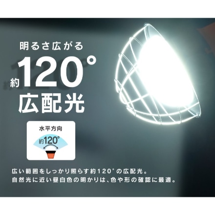 アイリスオーヤマ LED投光器 5500lm LWT-5500CK