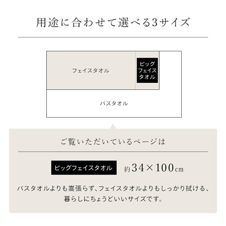 アイリスオーヤマ ボリュームタッチビッグフェイスタオル 4枚セット BFT-V4 ホワイト