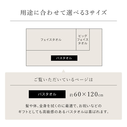 アイリスオーヤマ ボリュームタッチバスタオル 4枚セット BT-V4 アイボリー