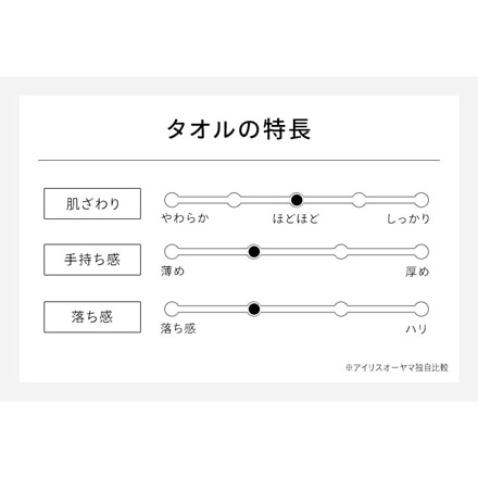 アイリスオーヤマ ビッグフェイスタオル 2枚セット BFT-2 ライトグレー