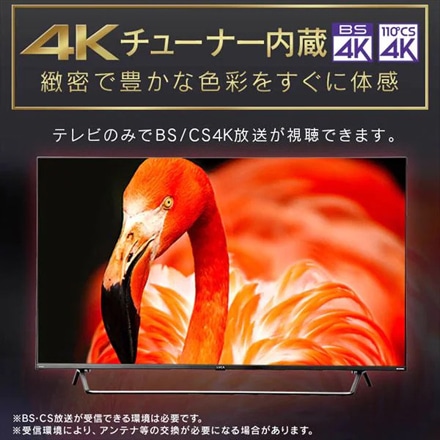 アイリスオーヤマ 4Kチューナー内蔵スマート液晶テレビ 65V型 65XDA20S ブラック