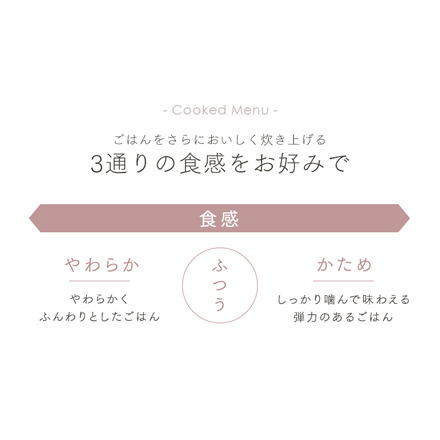 アイリスオーヤマ ジャー炊飯器 5.5合 RC-ISA50-B ブラック