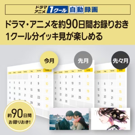 ブルーレイディスクレコーダー パナソニック ディーガ 1TB 2番組同時録画 DMR-2W103