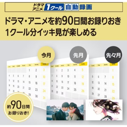 ブルーレイレコーダー パナソニック DIGA [ 6TB / 全自動録画対応 ] DMR-2X603