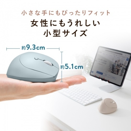 サンワサプライ 静音ワイヤレス小型エルゴノミクスマウス（充電式・5ボタン） MA-EWBS522BK ブラック