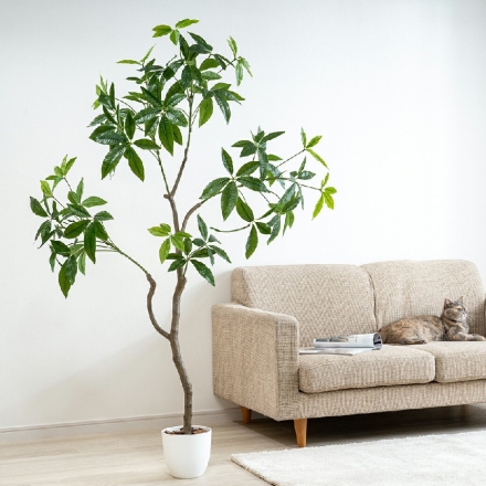人工観葉植物 パキラ 光触媒 フェイクグリーン