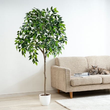 人工観葉植物 ベンジャミン 光触媒 フェイクグリーン