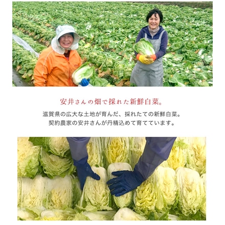 国産 白菜百日漬け ぬか漬け 漬物 200g×10袋